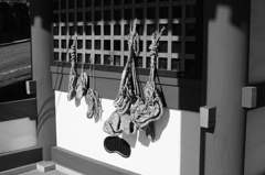 DSC00043