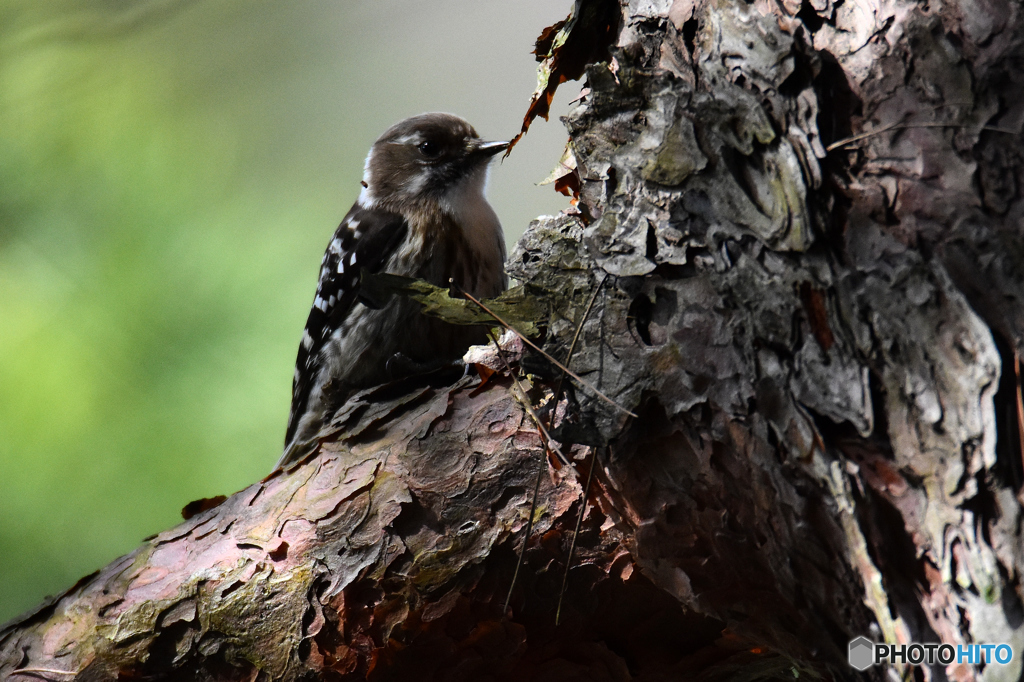 いい子だからじっとして！！