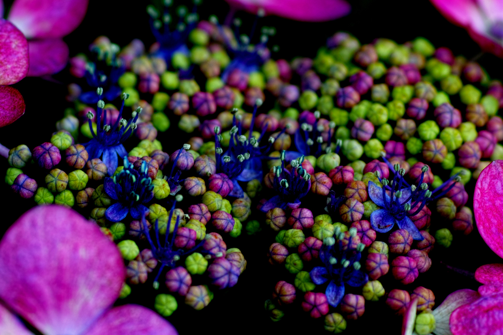 SDIM0571