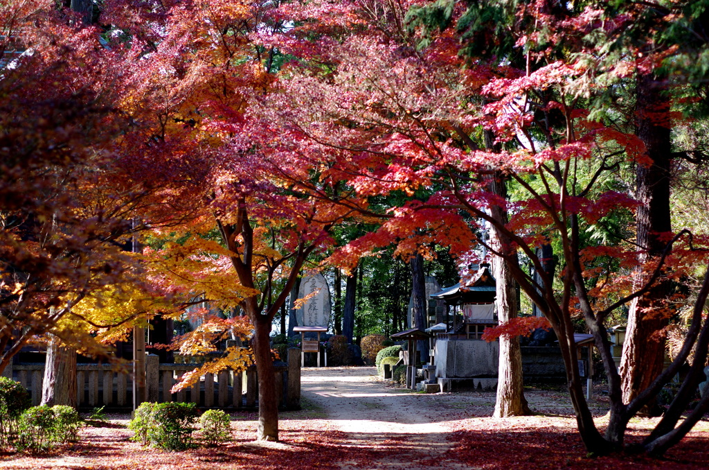 龍泉寺・紅葉5