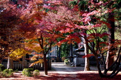 龍泉寺・紅葉5