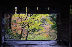 DSC_6579