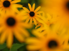 P8091071