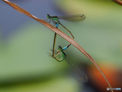 P8260069