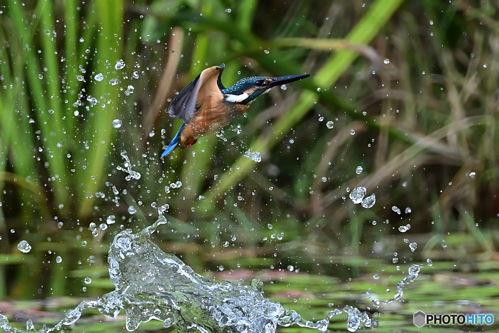 失敗です・・・^^;