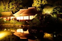 岡山後楽園・幻想庭園③