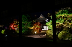 井山宝福寺・ライトアップ②