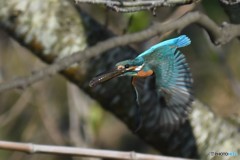 お持ち帰り・・・