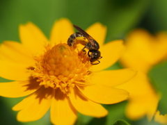 P7260036
