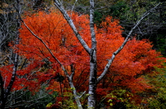 城見橋公園