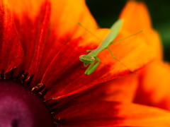 P6280268