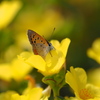 P8010111