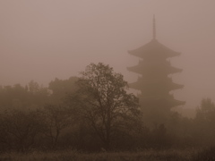 備中国分寺・霧と柿の木