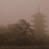 備中国分寺・霧と柿の木