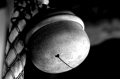 IMGP0758