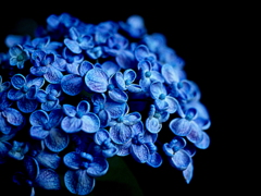 P6260006
