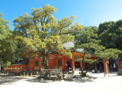 住吉神社　博多④