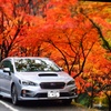 紅葉４
