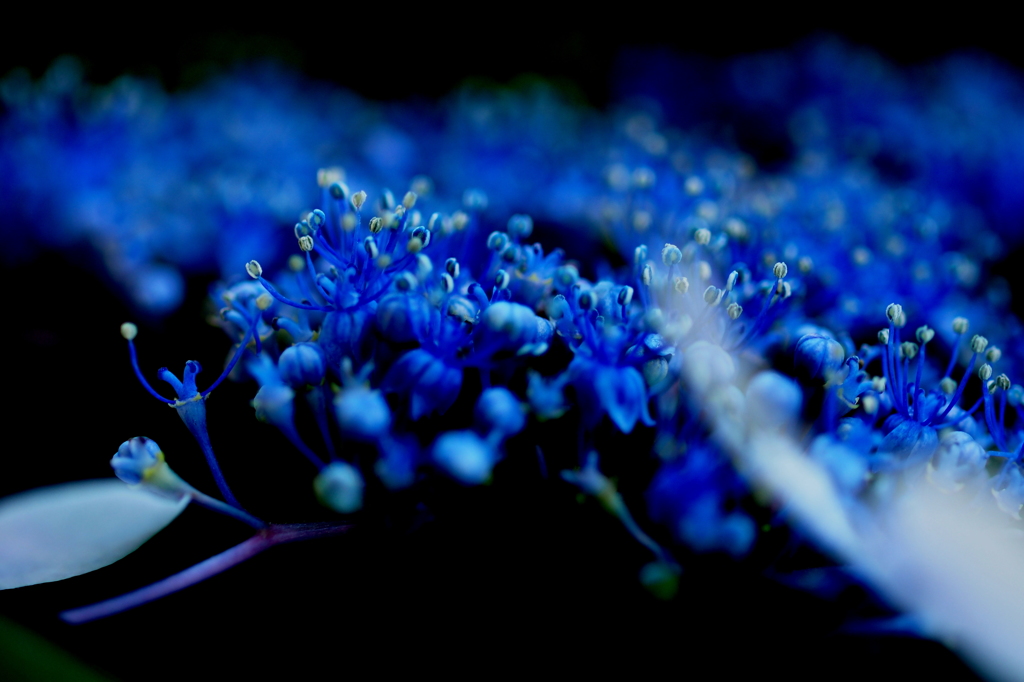 P6210052