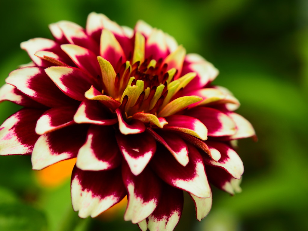P6280288