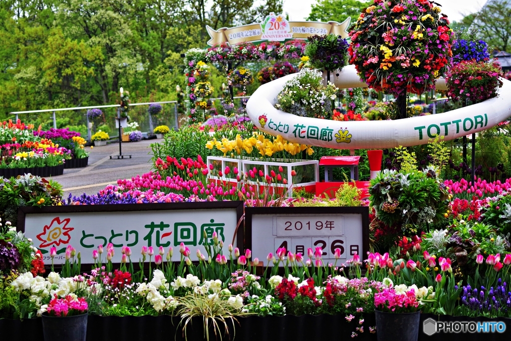 とっとり花回廊