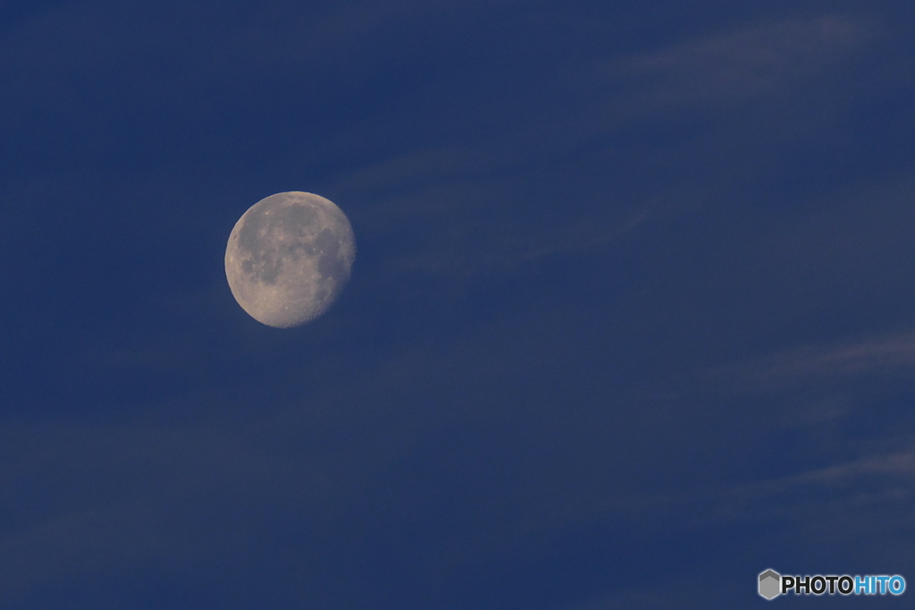 今朝のお月さん