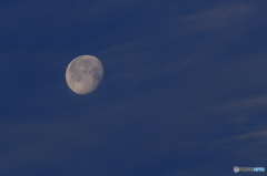 今朝のお月さん