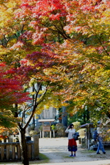 紅葉２