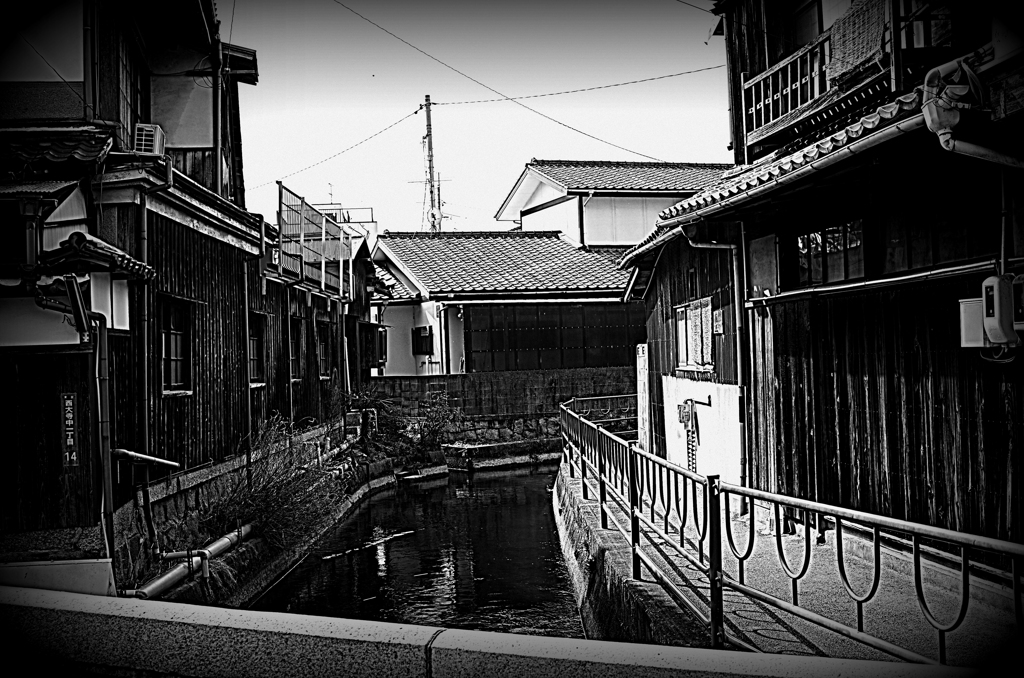 DSC_2966