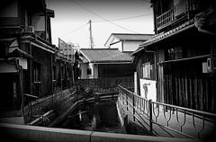 DSC_2966