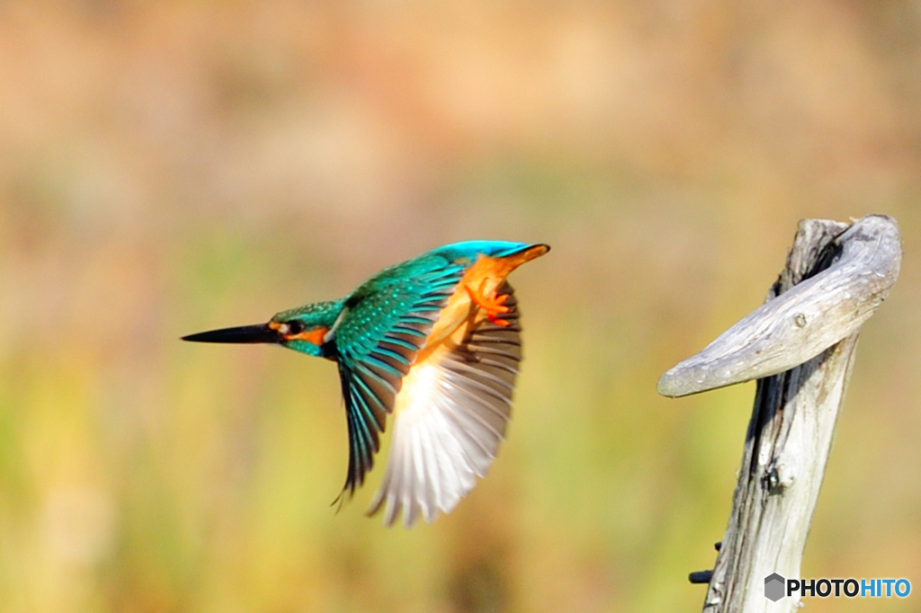 ちょっと失礼～～