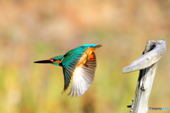 ちょっと失礼～～