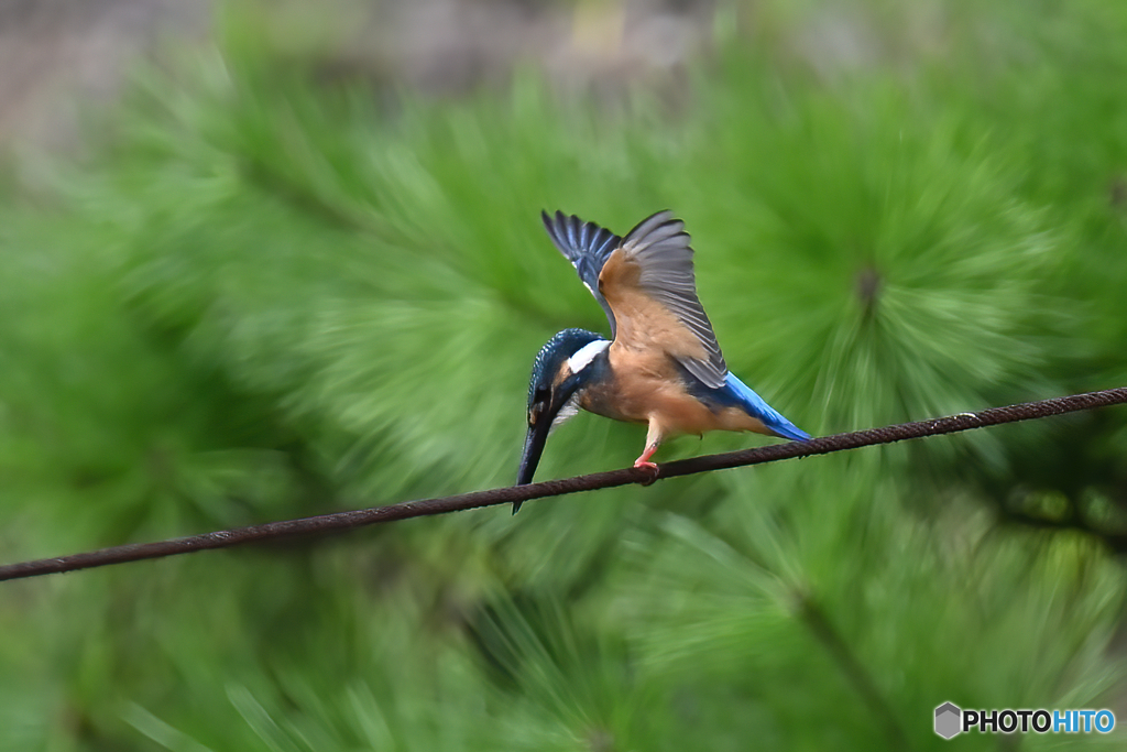 行ってみよっかー
