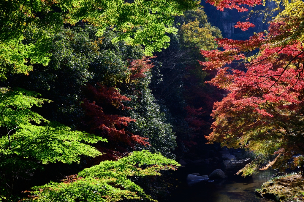 豪渓⑥