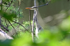 DSC_3655_トリミング^^