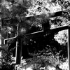 IMGP0762