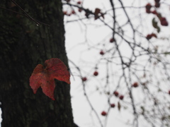 おっとっと・・・ひっかかって助かった^^