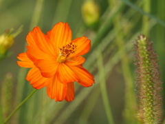 P8090895