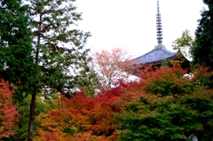 井山宝福寺①