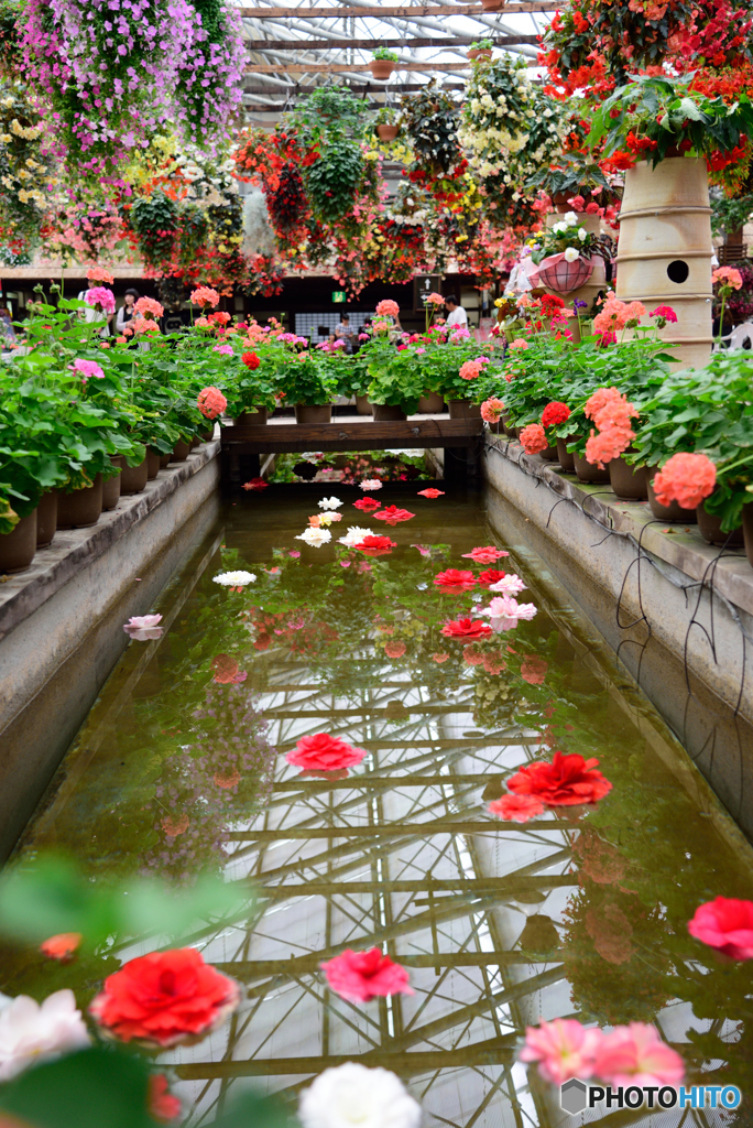 松江フォーゲルパーク