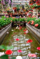 松江フォーゲルパーク