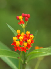 P8090996