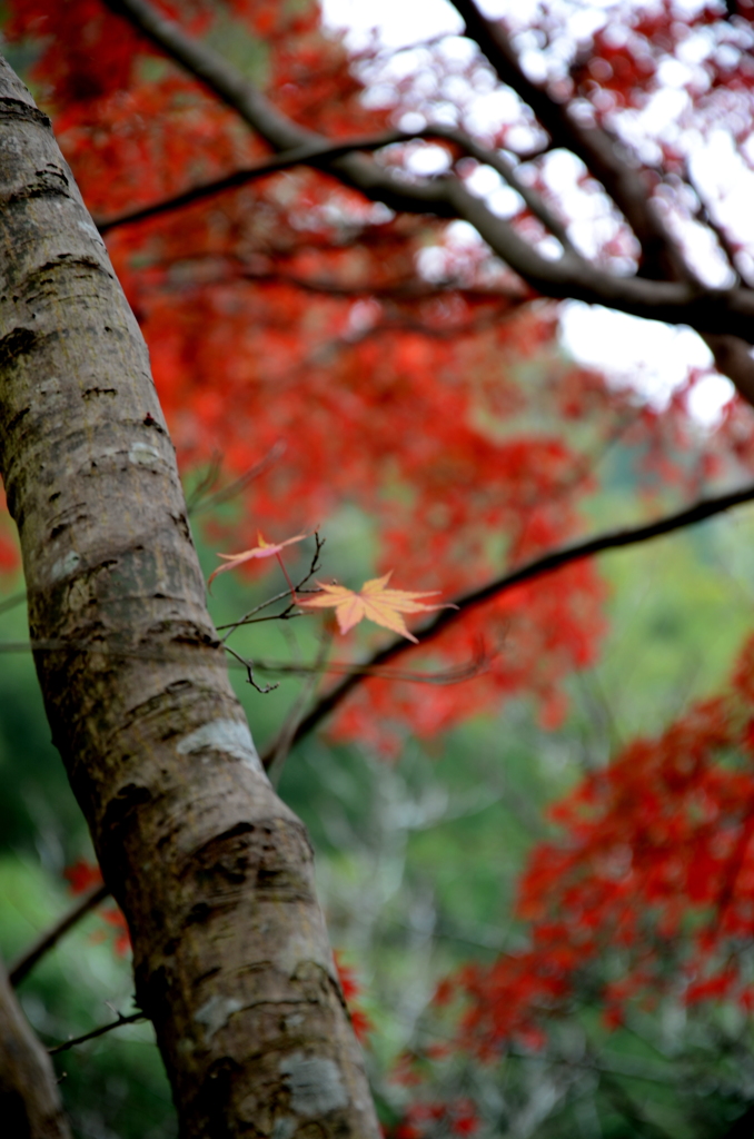 城見橋公園