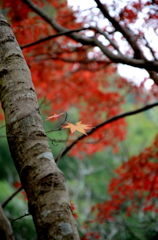 城見橋公園