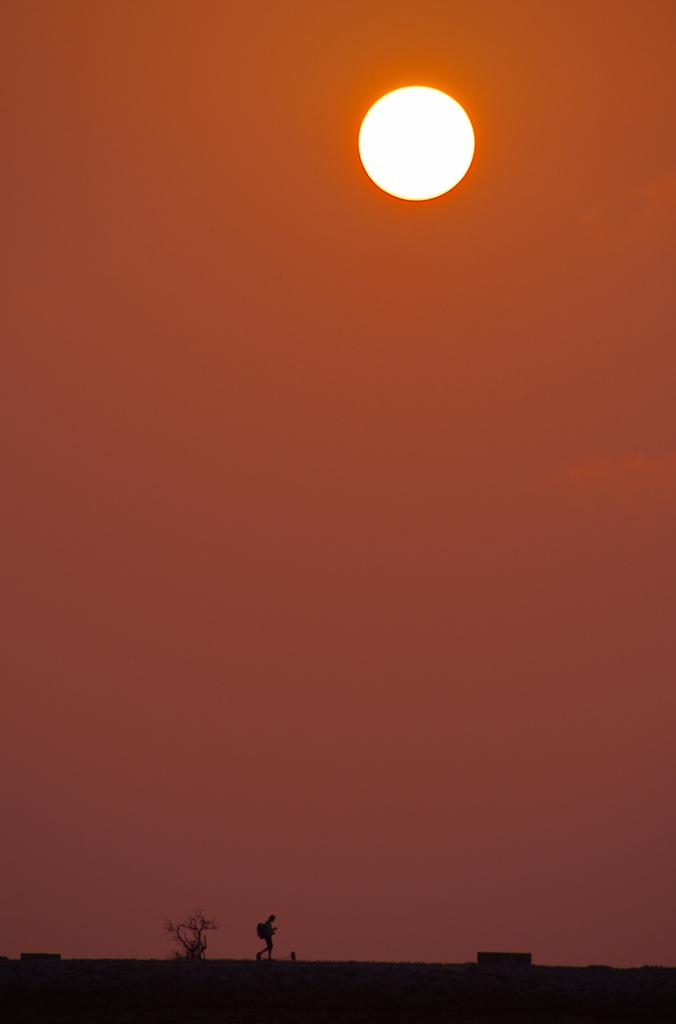 夕陽の旅人