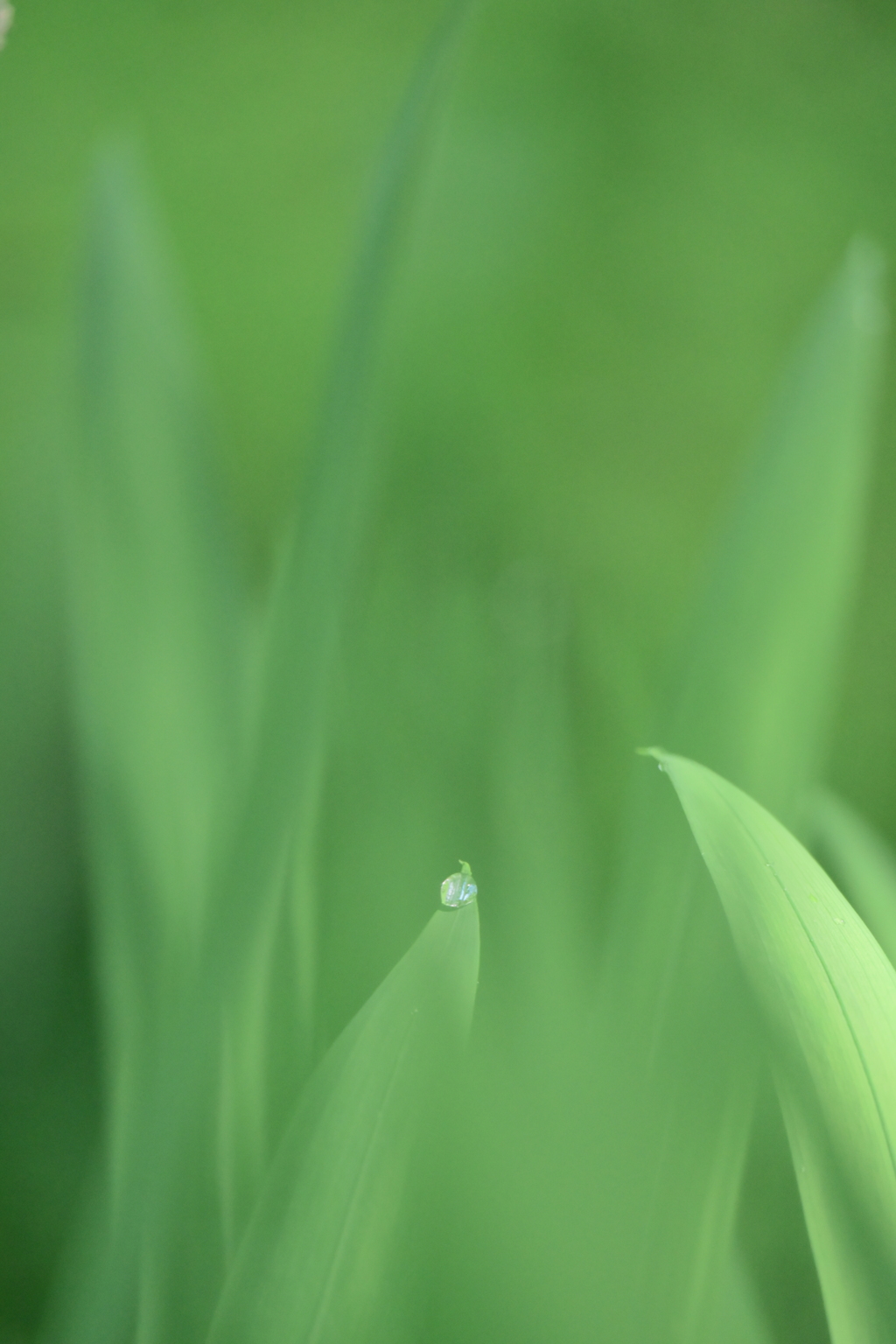 一雫