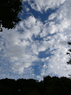 清々しい朝空