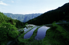 樫原の棚田