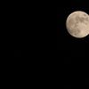 今夜のお月様