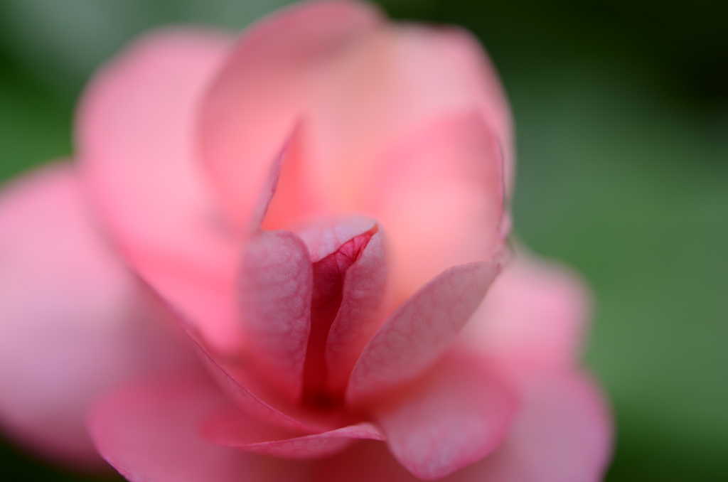 DSC_0366
